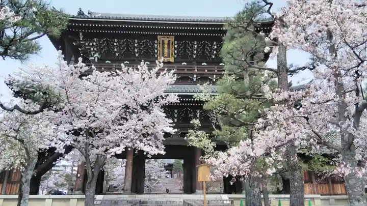 くろ谷 金戒光明寺の山門・神門