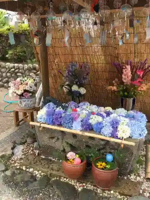 竹神社の手水舎