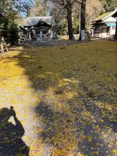 網戸神社(栃木県)