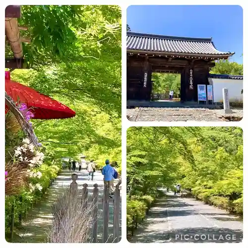 二尊院(京都府)