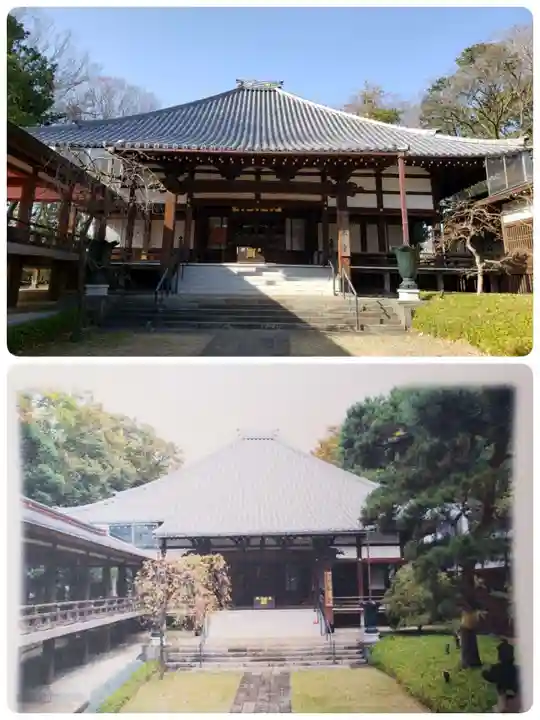 妙法寺の本殿・本堂