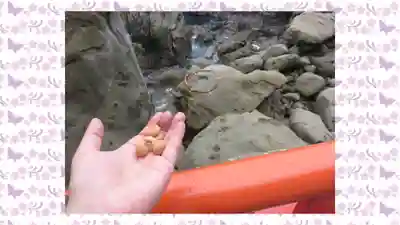 鵜戸神宮(宮崎県)