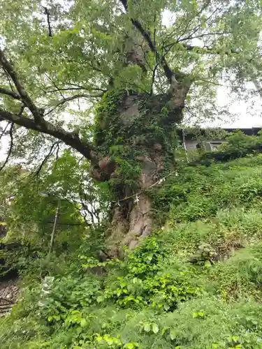 武蔵御嶽神社(東京都)