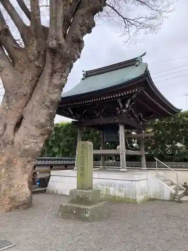 宗仲寺(神奈川県)