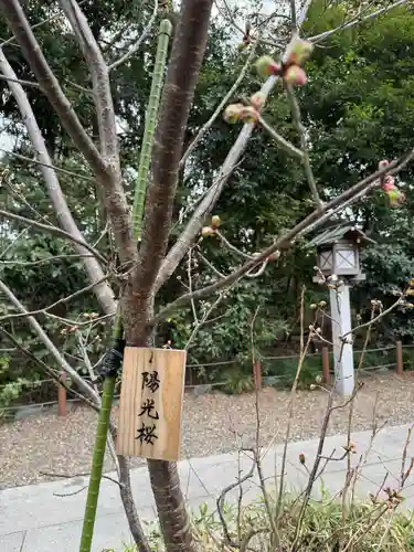 櫻木神社(千葉県)