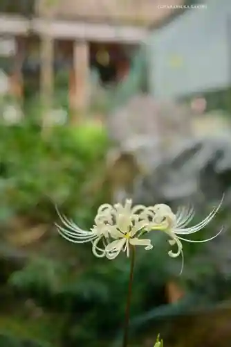 宝城坊(神奈川県)