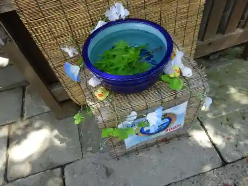 阿邪訶根神社のおみくじ