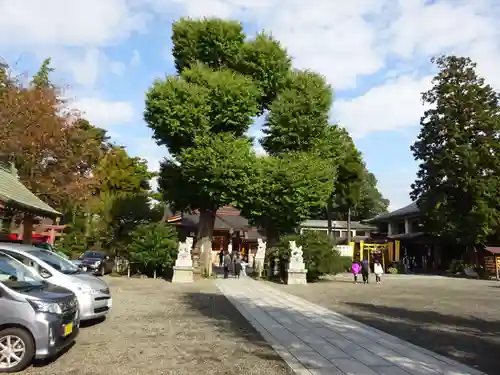 亀ケ池八幡宮の自然