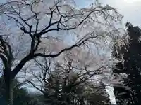 大宮温泉神社(栃木県)