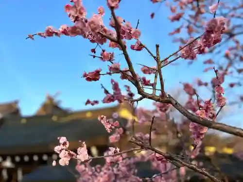 湯島天満宮(長野分社)(長野県)