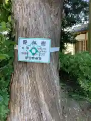 東漸寺の自然