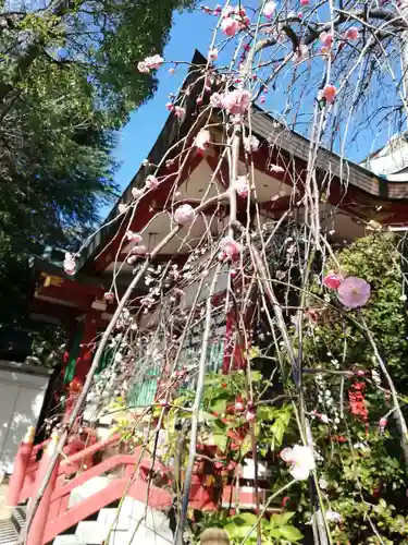 居木神社の本殿・本堂