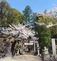 師岡熊野神社(神奈川県)