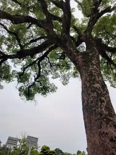 岡山神社の自然