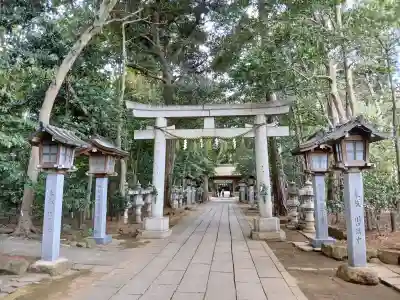 駒木諏訪神社の{uncategorized: "未分類", other: "その他", undefined: "問題あり", building: "その他建物", grave: "お墓", sacred_gate: "鳥居", guardian: "狛犬", statue: "像", buddha: "仏像", history: "歴史", nature: "自然", garden: "庭園", animal: "動物", pagoda: "塔", temizu: "手水舎", mountain_gate: "山門・神門", sanctuary: "本殿・本堂", subordinate: "末社・摂社", art: "芸術", scenery: "景色", jizo: "地蔵", ema: "絵馬", goshuin: "御朱印", omikuji: "おみくじ", items: "授与品その他", amulet: "お守り", goshuincho: "御朱印帳", eats: "食事", festival: "お祭り", votive_dance: "神楽", shichigosan: "七五三参", wedding: "結婚式", experience: "体験その他", initially: "初詣", around: "周辺", anti_infection: "感染症対策"}