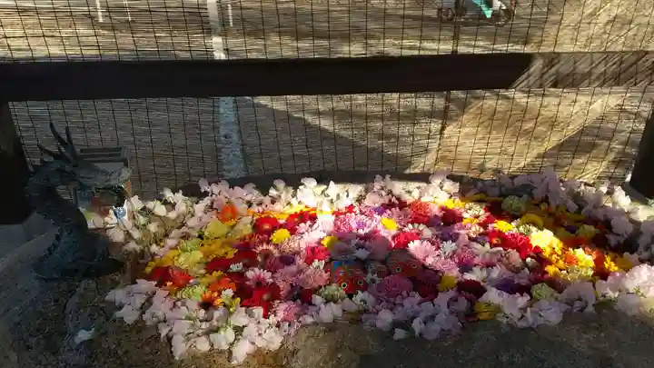 金井神社の手水舎