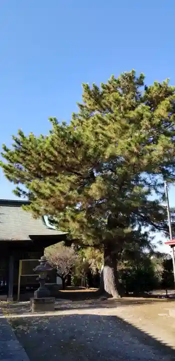 天豊受神社(埼玉県)