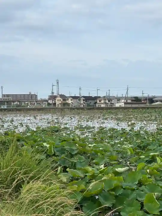 住吉神社(兵庫県)