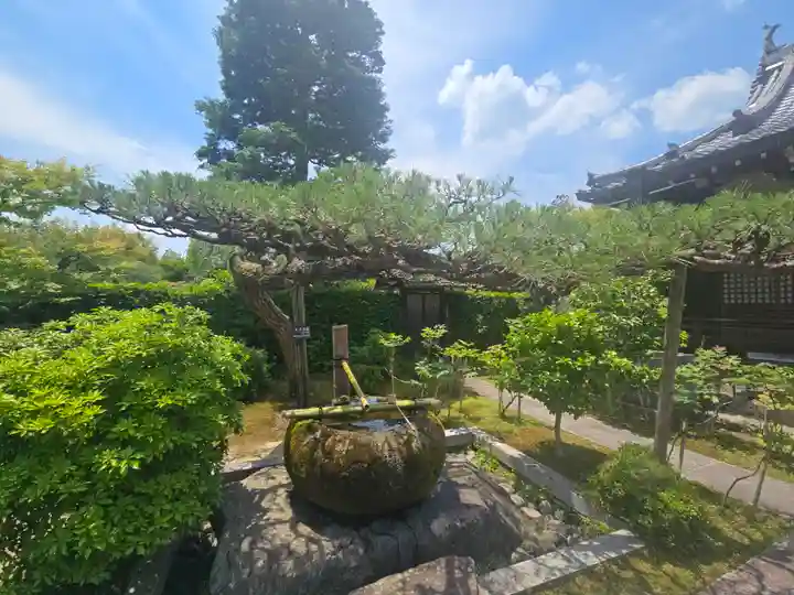 正法寺(京都府)