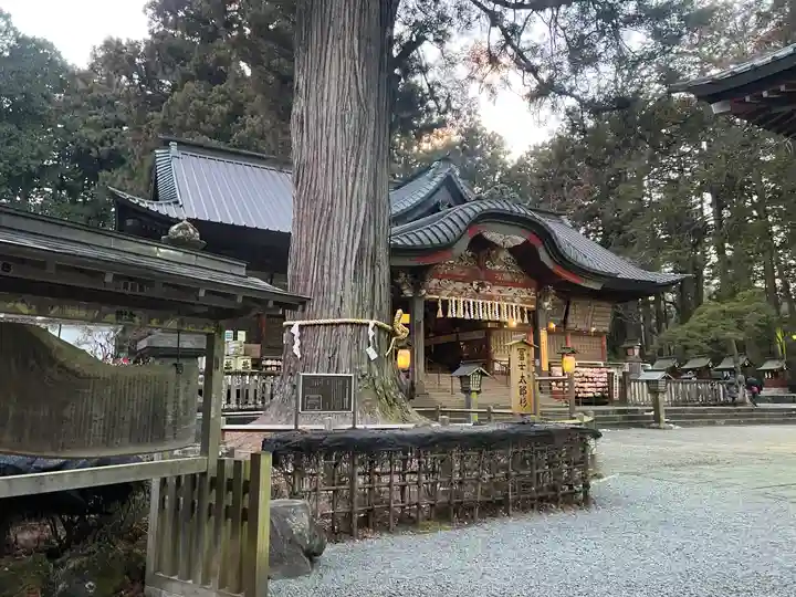 北口本宮冨士浅間神社の自然