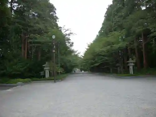 北海道神宮の景色