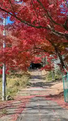 観音寺（山崎聖天）(京都府)