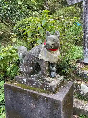 石穴稲荷神社の狛犬