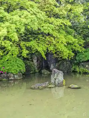 城南宮(京都府)