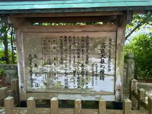 高良大社(福岡県)