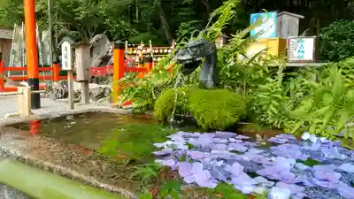 出雲大神宮の手水舎
