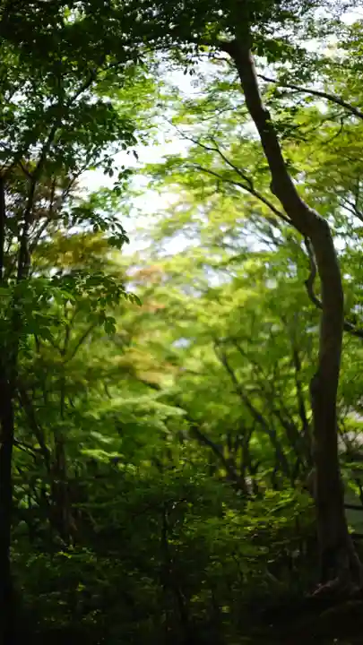 常寂光寺(京都府)