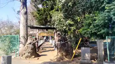 馬場氷川神社(埼玉県)