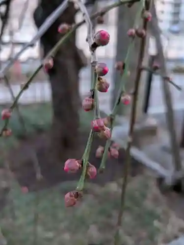 成願寺(東京都)