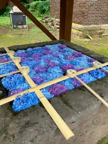 土津神社｜こどもと出世の神さまの手水