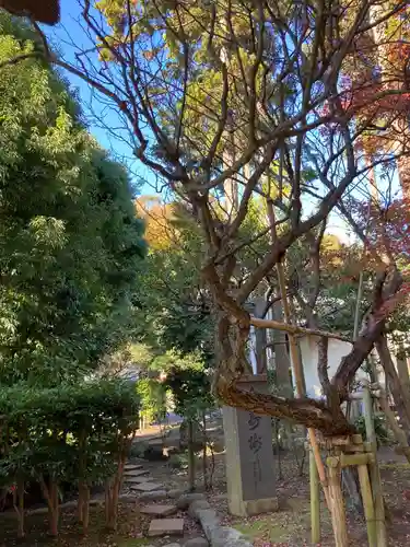 天嶽院(神奈川県)