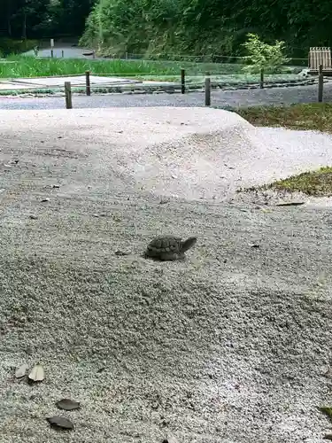明月院(神奈川県)