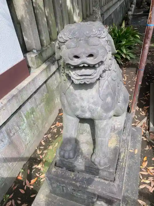 富岡八幡宮の狛犬