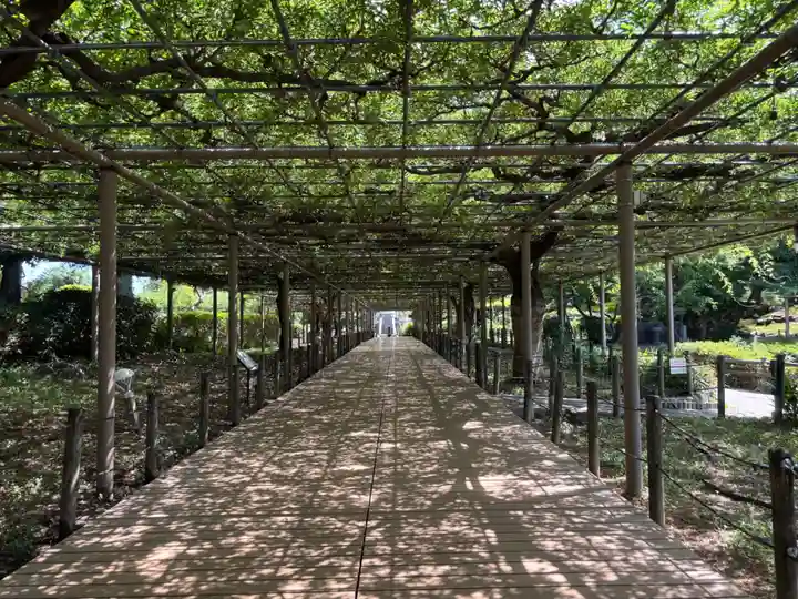 曼陀羅寺の周辺