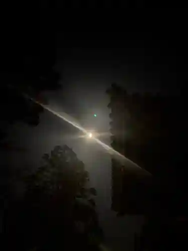 伊勢の国 四天王寺の自然