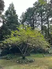 倭文神社(鳥取県)