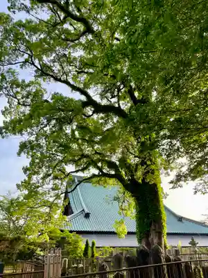 長生院(神奈川県)