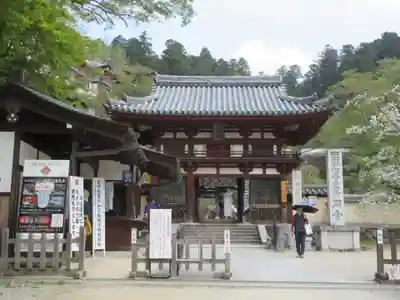 岡寺（龍蓋寺）の山門・神門