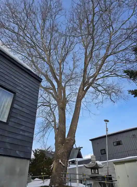 龍宮神社(北海道)