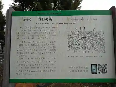 東村山八坂神社の周辺