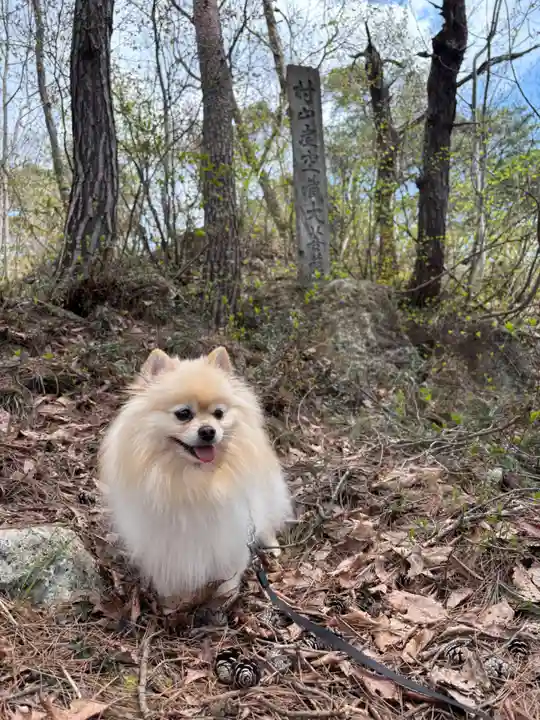 村山虚空蔵院(山形県)