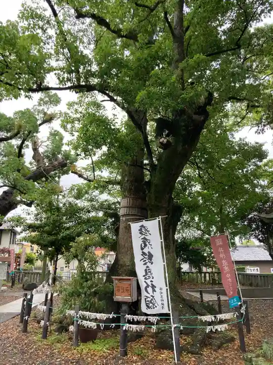 細江神社の自然