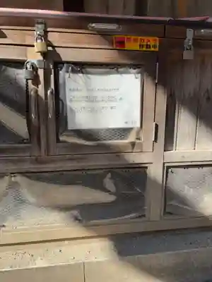 櫻木神社(東京都)