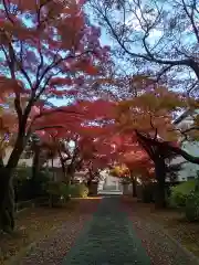 正樂寺(宮城県)