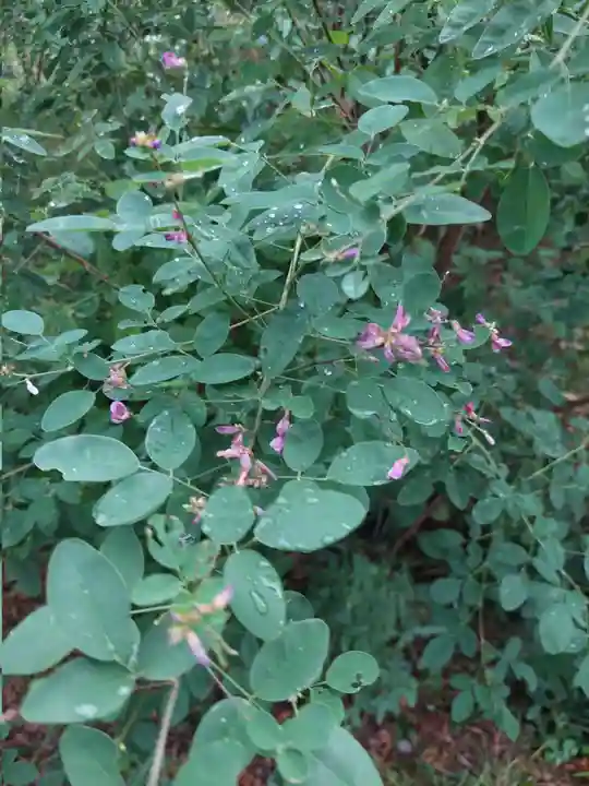 刺田比古神社(和歌山県)