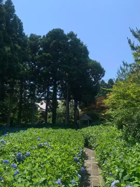 雲昌寺の{uncategorized: "未分類", other: "その他", undefined: "問題あり", building: "その他建物", grave: "お墓", sacred_gate: "鳥居", guardian: "狛犬", statue: "像", buddha: "仏像", history: "歴史", nature: "自然", garden: "庭園", animal: "動物", pagoda: "塔", temizu: "手水舎", mountain_gate: "山門・神門", sanctuary: "本殿・本堂", subordinate: "末社・摂社", art: "芸術", scenery: "景色", jizo: "地蔵", ema: "絵馬", goshuin: "御朱印", omikuji: "おみくじ", items: "授与品その他", amulet: "お守り", goshuincho: "御朱印帳", eats: "食事", festival: "お祭り", votive_dance: "神楽", shichigosan: "七五三参", wedding: "結婚式", experience: "体験その他", initially: "初詣", around: "周辺", anti_infection: "感染症対策"}
